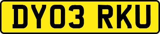 DY03RKU