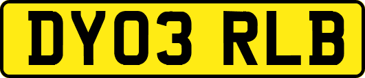 DY03RLB