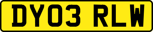 DY03RLW