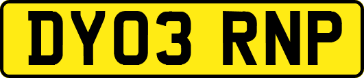 DY03RNP