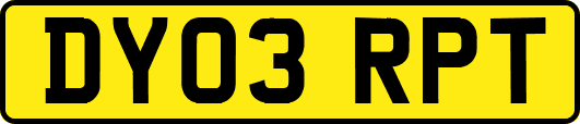 DY03RPT