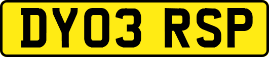 DY03RSP