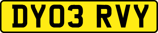 DY03RVY