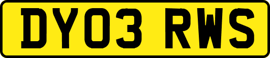 DY03RWS