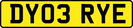 DY03RYE