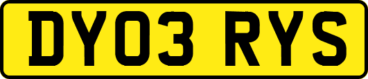 DY03RYS