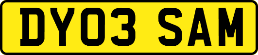 DY03SAM