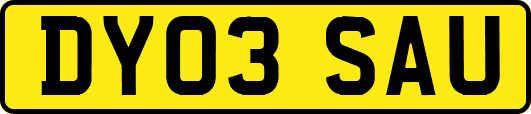 DY03SAU