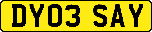 DY03SAY