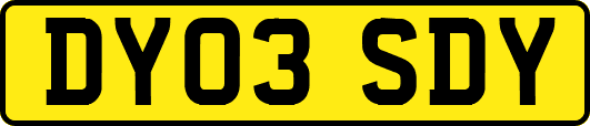 DY03SDY