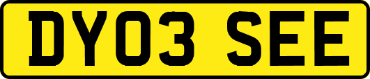 DY03SEE