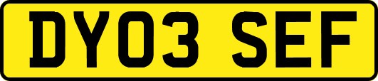 DY03SEF
