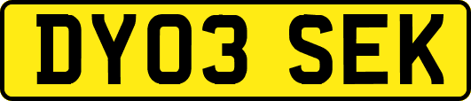 DY03SEK