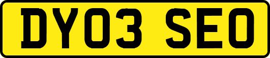 DY03SEO