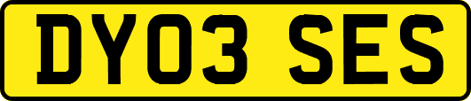 DY03SES