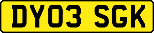 DY03SGK