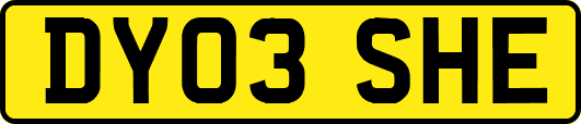 DY03SHE