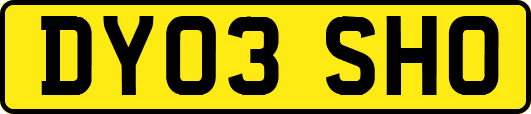 DY03SHO