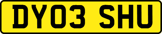 DY03SHU