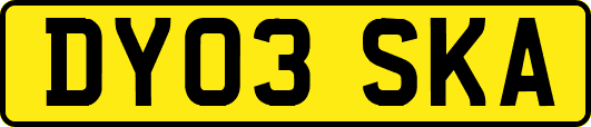 DY03SKA