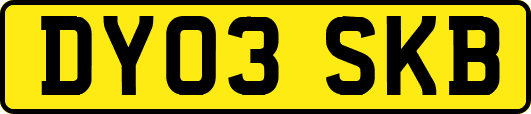 DY03SKB