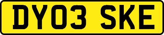 DY03SKE