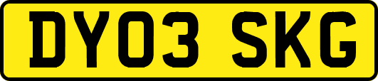 DY03SKG