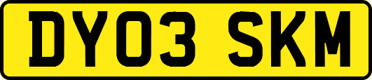 DY03SKM