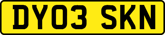 DY03SKN