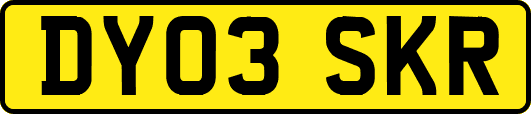 DY03SKR