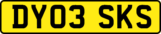 DY03SKS