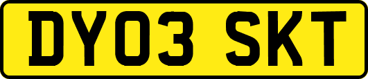 DY03SKT