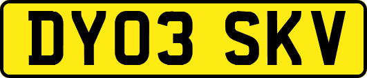 DY03SKV