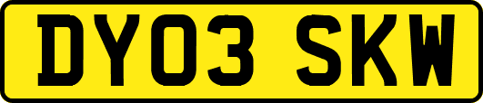 DY03SKW