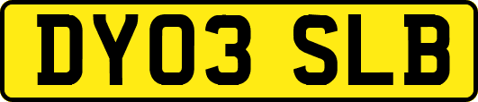 DY03SLB