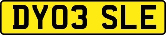DY03SLE