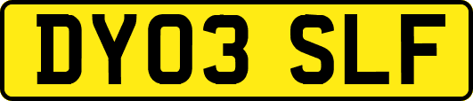 DY03SLF