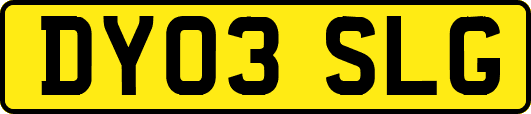 DY03SLG