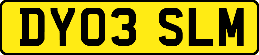 DY03SLM