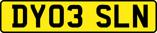DY03SLN