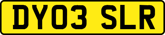 DY03SLR