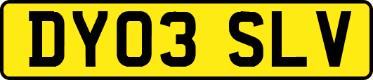 DY03SLV