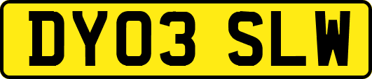 DY03SLW