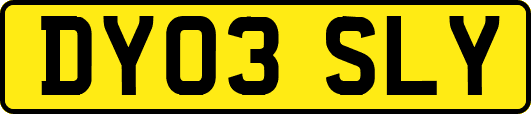 DY03SLY