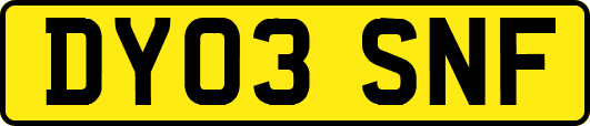 DY03SNF
