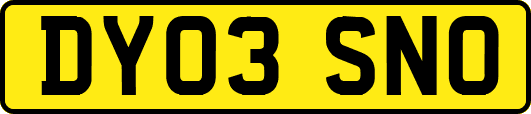 DY03SNO