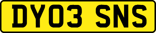 DY03SNS