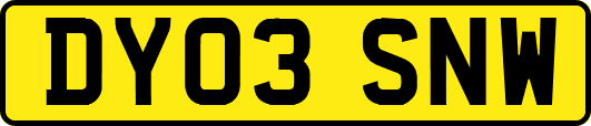 DY03SNW