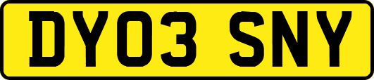 DY03SNY