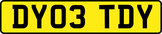 DY03TDY